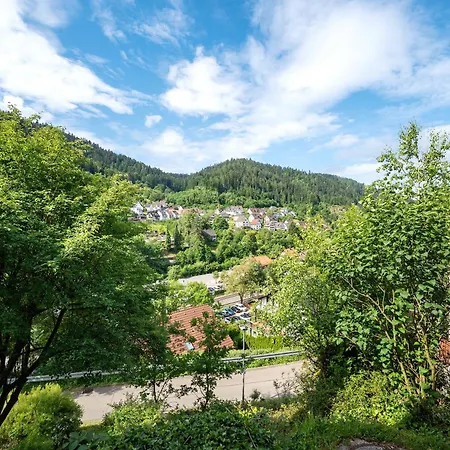 Am Lehen Apartment Schiltach