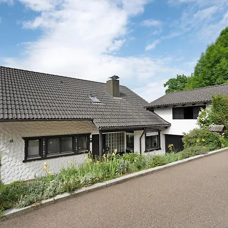 Daire Am Lehen Schiltach